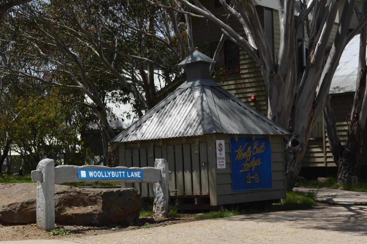 Gundy Lodge ディナー・プレーン エクステリア 写真